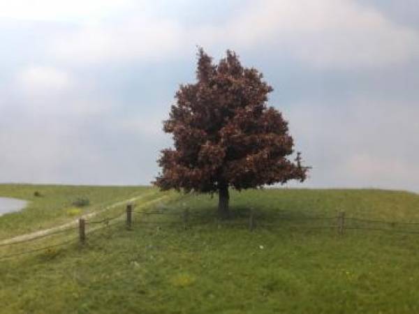 Oak Profiline , late fall NZ